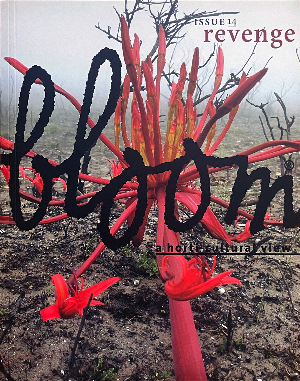 Bloom Issue #14: Revenge