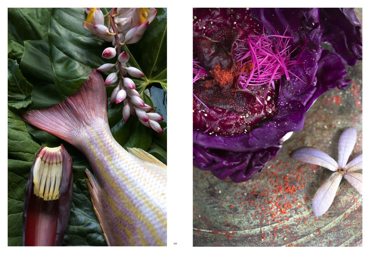 UXUA UTOPIA: A Very Gifted Guest House